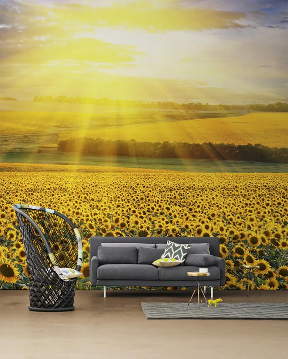 Vue ensoleillée sur les tournesols