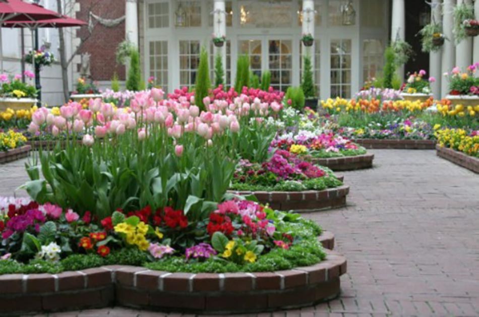 décoration de jardin en fleurs