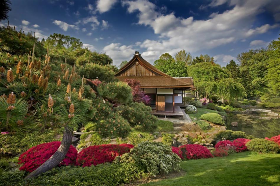 jardin de maison de thé japonaise