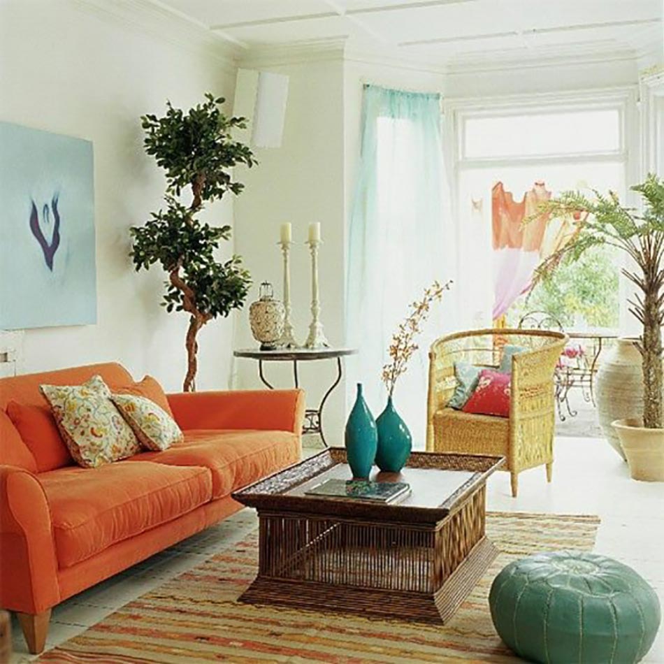 salon design orange et plantes