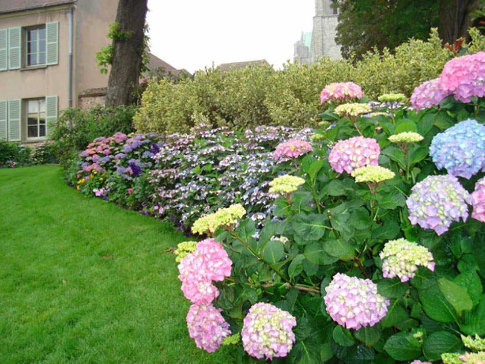 plate-bande de fleurs décorative