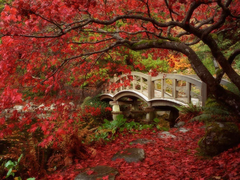 jardin japonais université british columbia