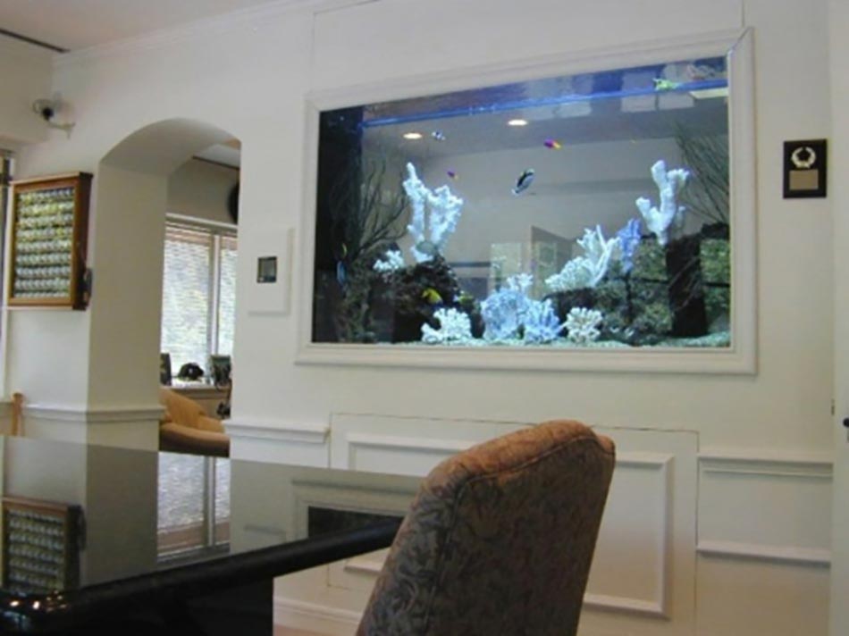 future cuisine aquarium poisson