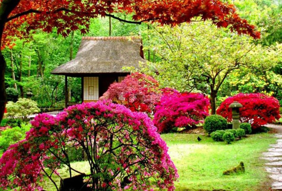 beau jardin japonais