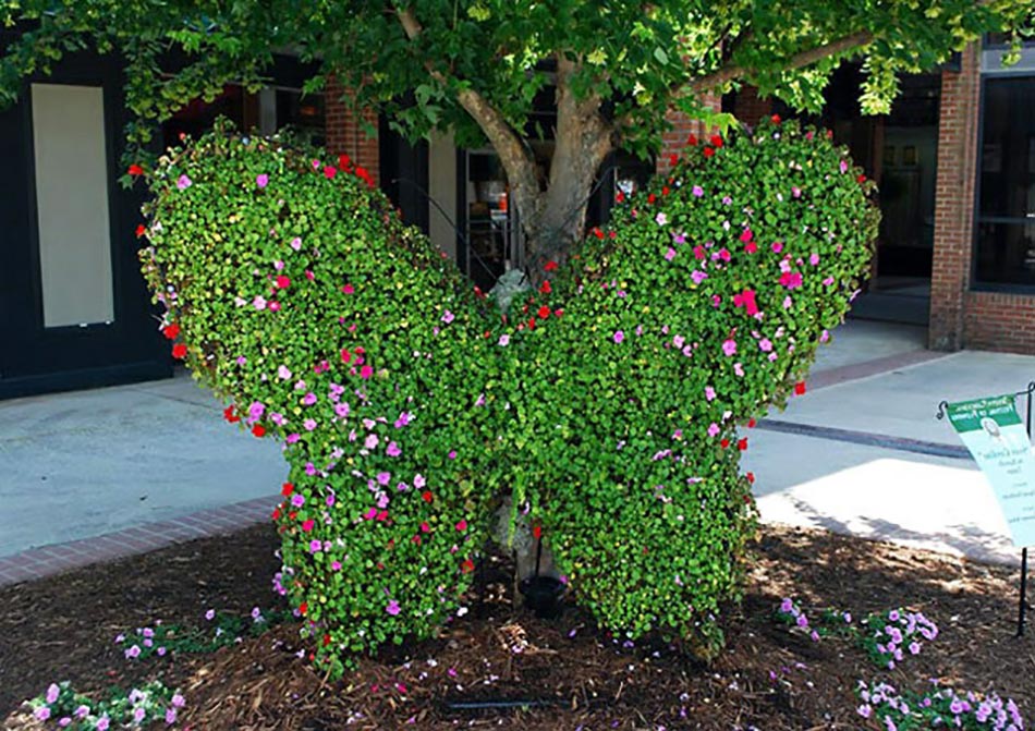 L'art topiaire design en décoration de jardin