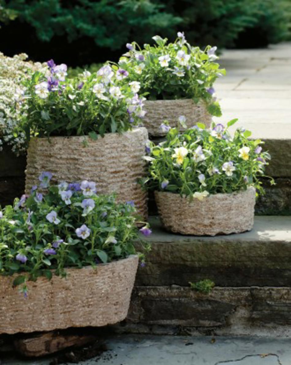 Pots de fleurs originaux