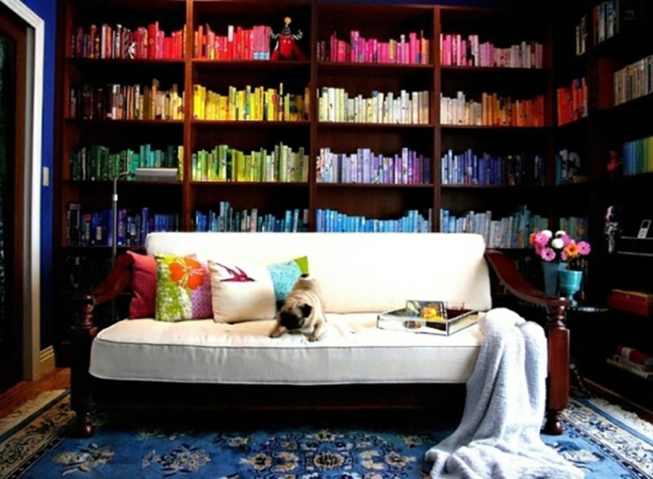 salon déco bibliothèque multicolore