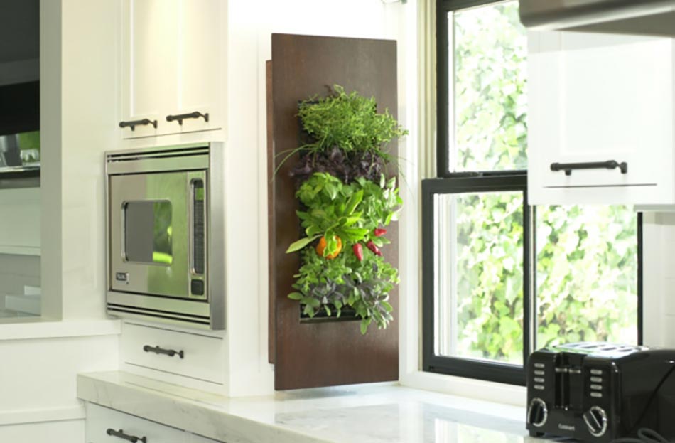 jardin interieur cuisine de future