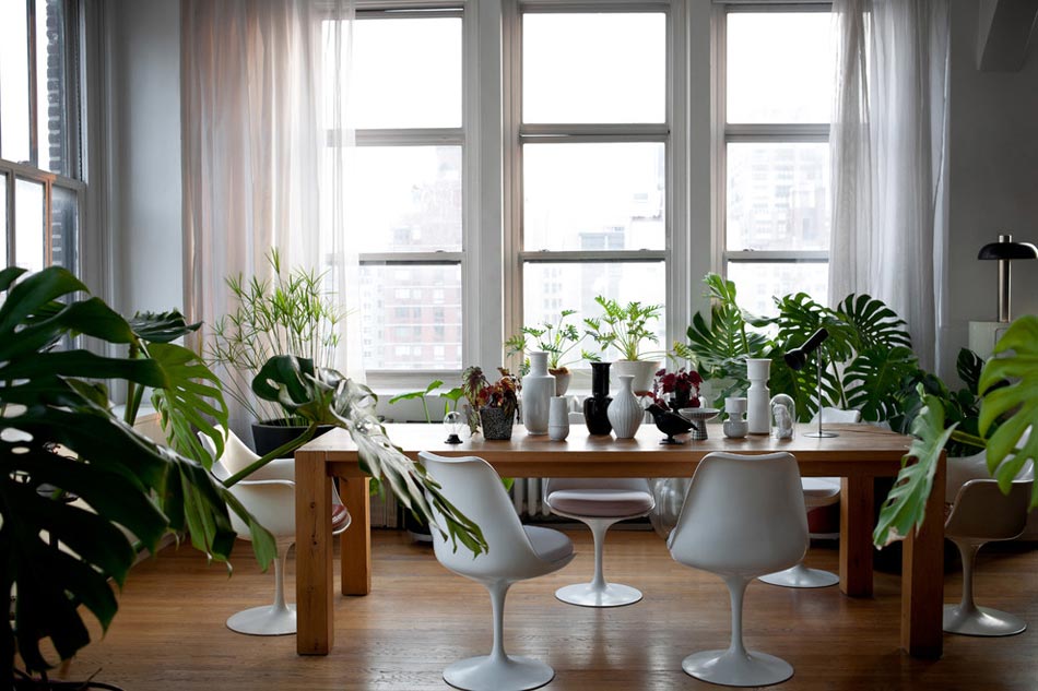 chaise tulipe au milieu des plantes d'intérieur