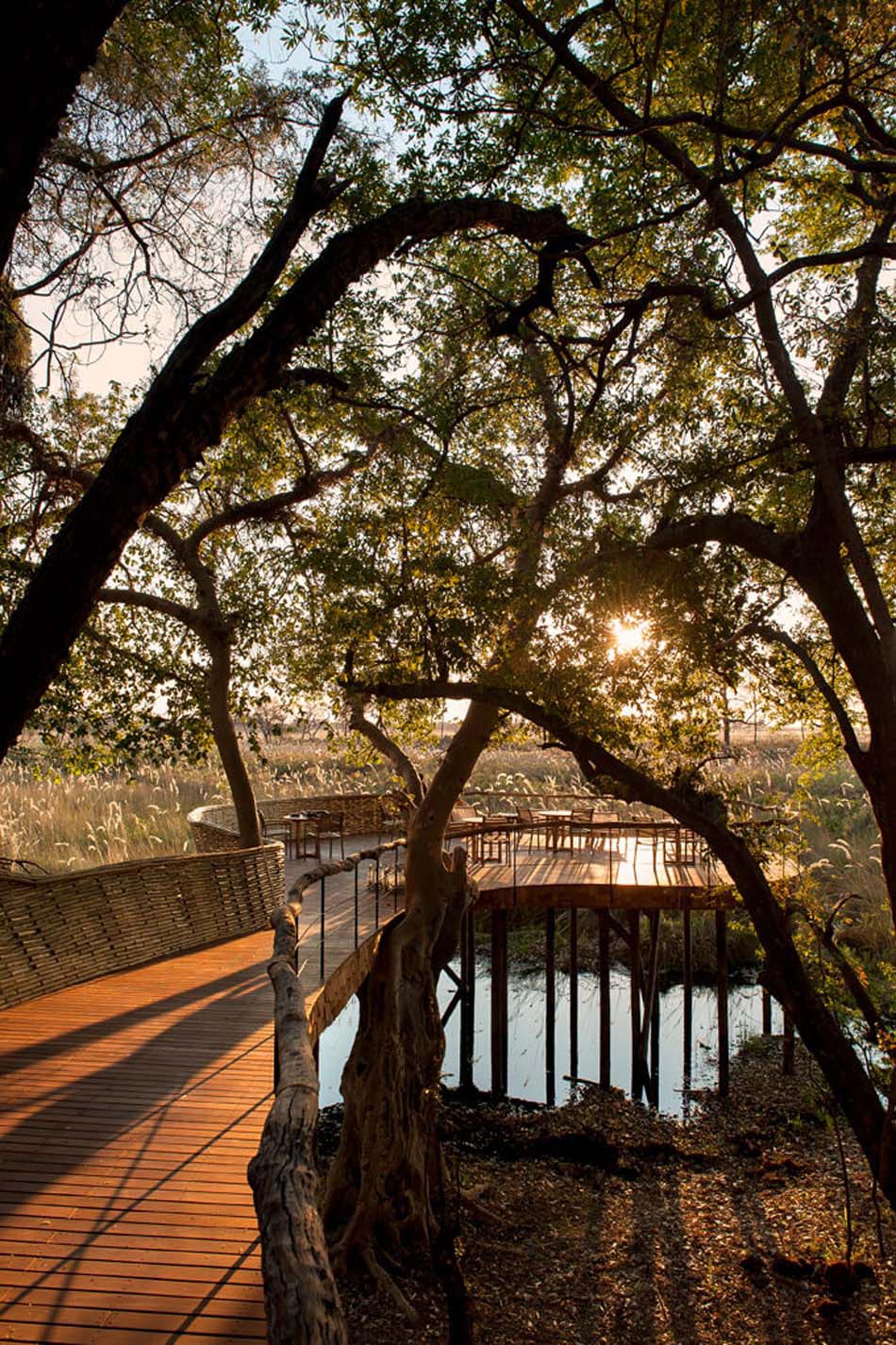 ambiance luxe lodge safari botswana