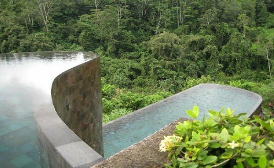 piscine exotique à couper le souffle