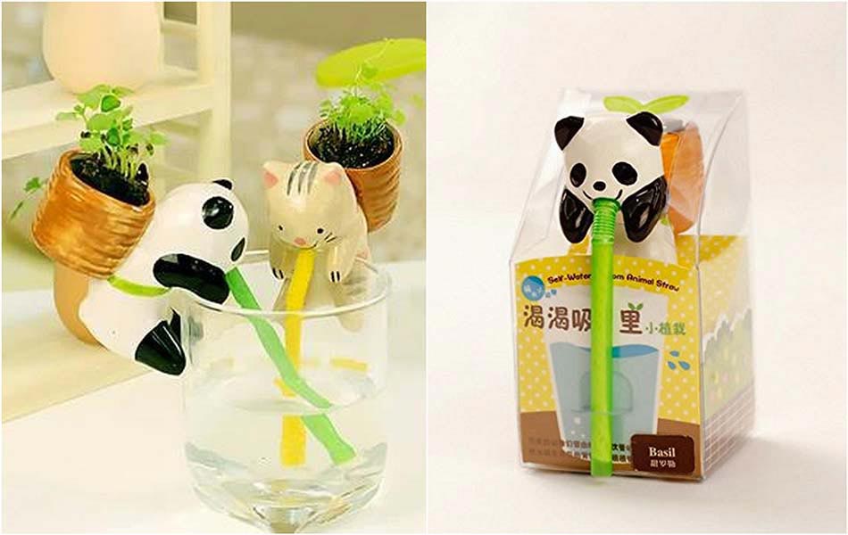 panda petit pot de fleurs