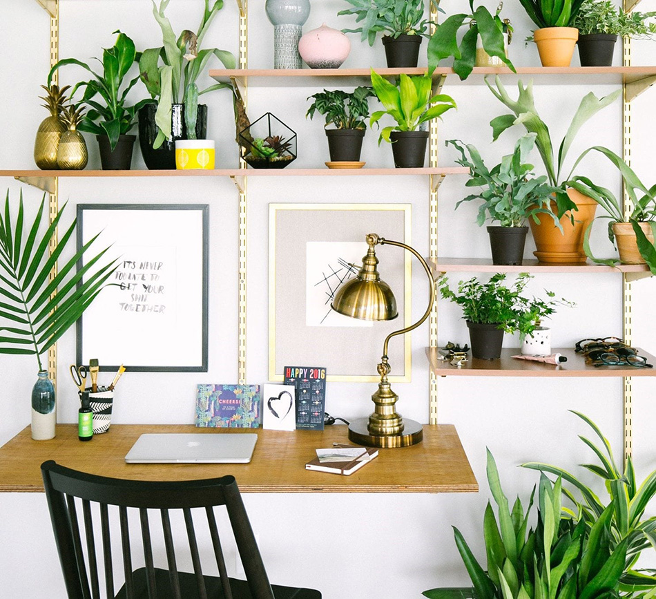 santé bien-être plantes vertes pour se sentir bien télétravail