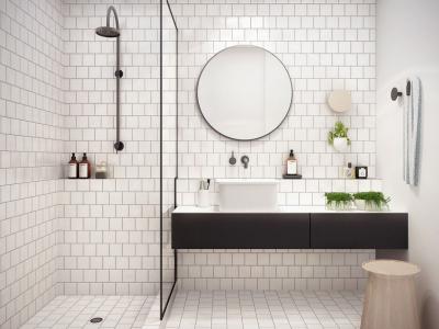 salle de bain design noir et blanc élégant