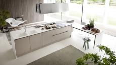 Blanc et gris, rehaussés par des plantes vertes pour cette cuisine Pedini