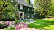 décoration de jardin en fleurs