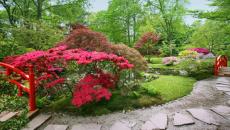 jardin exotique japonais