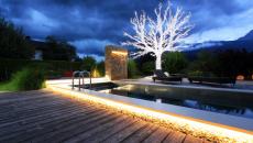 Le jardin illuminé par différents spots