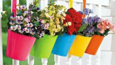 Pots de fleurs en couleurs
