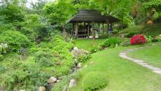 grand jardin japonais