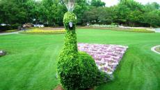 Jardin à la décoration de personnages Disney