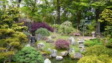jardin japonais