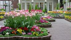 décoration de jardin en fleurs