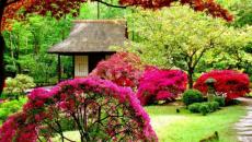beau jardin japonais
