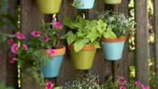 Pots de fleurs multicolores déco jardin