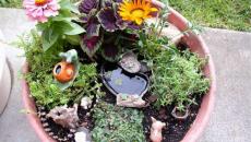4 réaliser un joli mini jardin