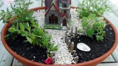 6 réaliser un joli mini jardin
