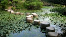 des pas japonais
