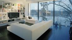 vue magnifique pour salon moderne