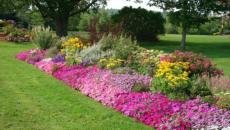 décoration de jardin en fleurs