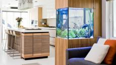 cuisine de future en bois et blanc