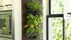 jardinière verticale pour cuisine