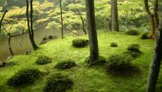 saihouji kokedera parc