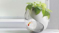 pot de fleur et aquarium objet design fonctionnel