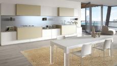 belle projet de cuisine moderne et contemporaine
