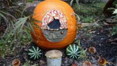 décorer le jardin avec citrouilles art