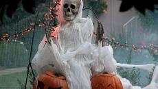 squelette accessoire déco obligatoire Halloween