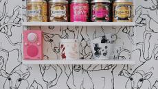 Design intérieur décoration scandinave appartement