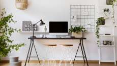 améliorer l'humeur plantes vertes au travail à la maison télétravail