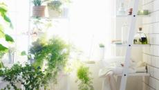 Plantes vertes et fleurs en déco dans une salle de bain
