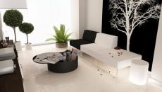 salon design en noir et blanc contemporain
