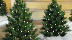 petits sapins décorés jardin